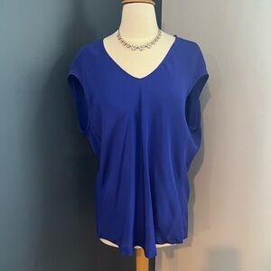 Greylin Blue Women's Silk Top